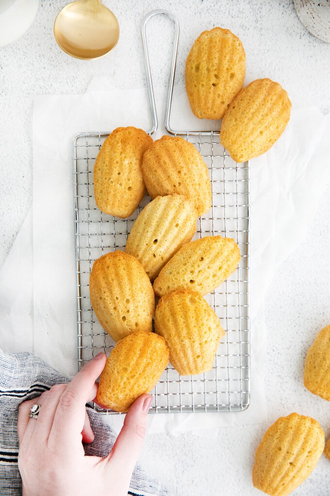 Easy French Madeleines