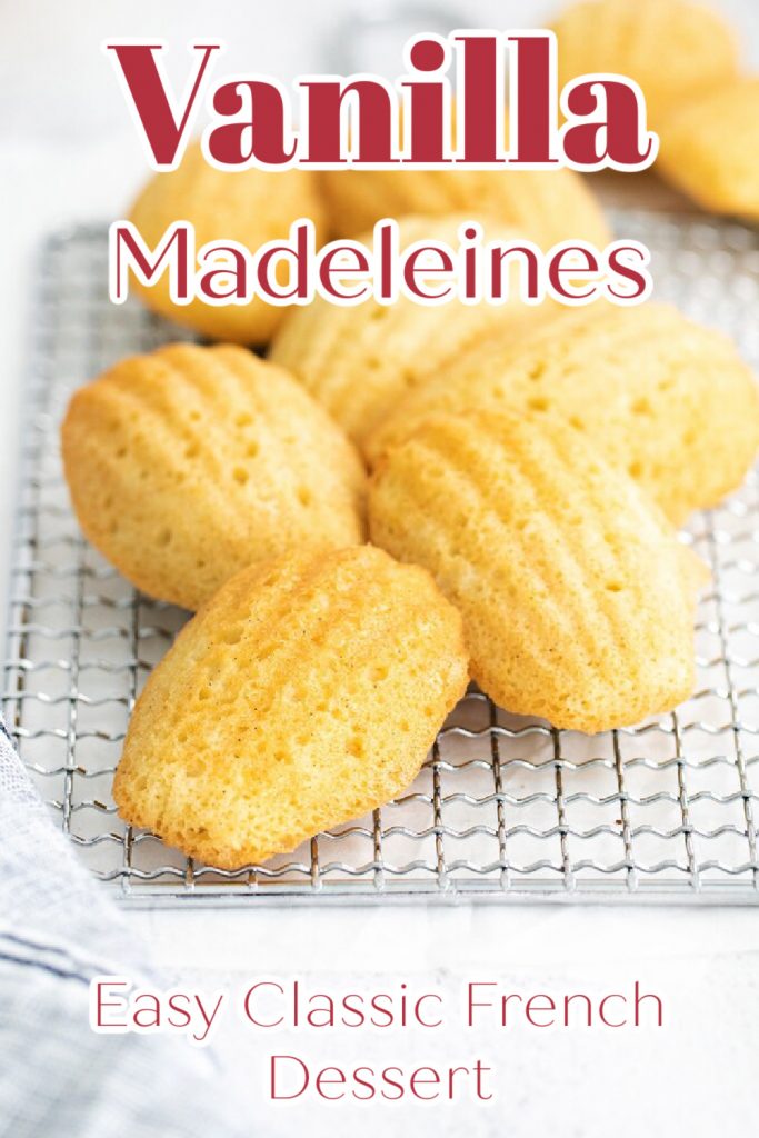 Vanilla Madeleines