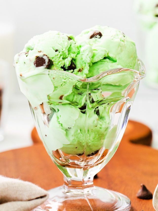 Mint Chocolate Chip Ice Cream Story