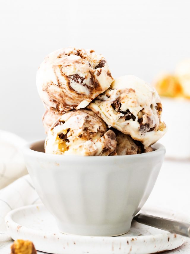 Moose Tracks Ice Cream Story