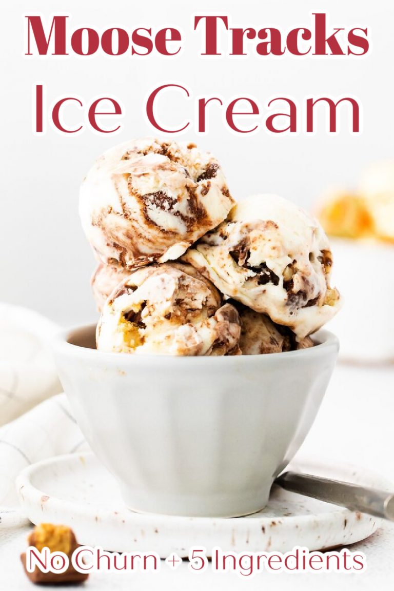 non dairy moose tracks ice cream